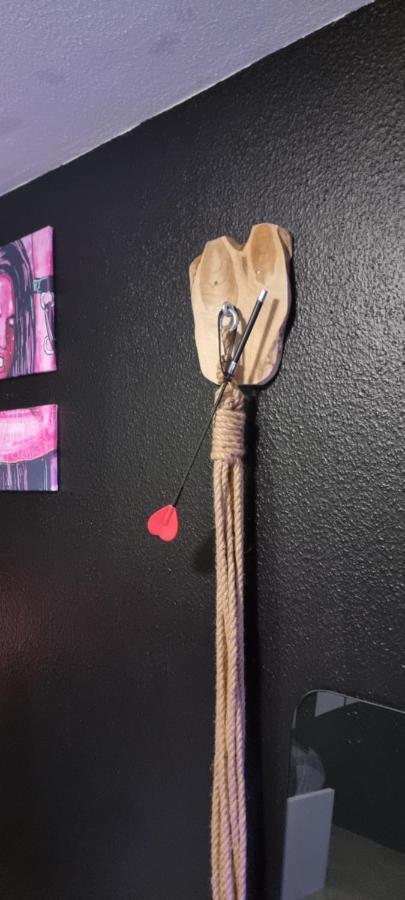 Appartamento Le Coin Des Desirs Bdsm Strasburgo Esterno foto